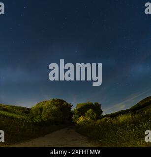 Paysage de nuit toscan, ciel nocturne. Broussailles méditerranéennes, une route de campagne avec un fond d'étoiles, de nébuleuses, de galaxies Banque D'Images