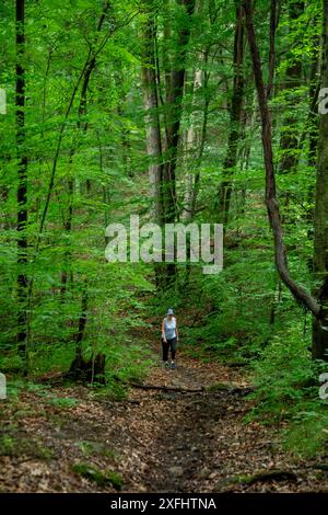 Yankee Springs Twp, Michigan - Susan Newell, 75 ans, randonnée sur un sentier dans la zone de loisirs de Yankee Springs. Banque D'Images