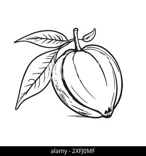 Vecteur de fruits tropicaux dessiné à la main, avec une ligne noire complexe Parfait pour ajouter une touche d'élégance exotique à vos créations. Illustration de Vecteur