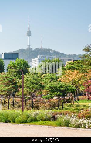 Pittoresque parc d'automne coloré à Séoul, Corée du Sud. Namsan Seoul Tower est visible sur fond de ciel bleu. Banque D'Images
