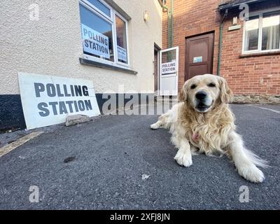 Dunsford, Devon, Royaume-Uni. 4 juillet 2024. Élections générales : chiens dans les bureaux de vote, Raphael le Golden Retriever attend patiemment que son humain vote, Dunsford, Devon, UK #dogsatpollingstations crédit : Nidpor/Alamy Live News Banque D'Images