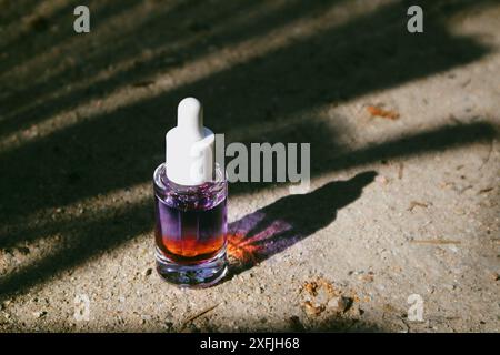 Bouteille cosmétique en verre avec de l'huile liquide rouge-violet sur le rivage sablonneux en été. Cosmétiques de soin pour femmes. Pot de sérum sur fond naturel. Ombre contrastée Banque D'Images