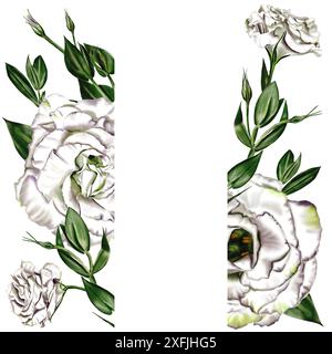 Double cadre de fleurs, bourgeons et feuilles de Bluebell, lisianthus et eustoma. Grandes fleurs blanches. Feuilles et bourgeons verts, tiges minces. Banque D'Images