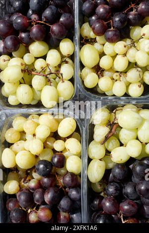 Raisins foncés et verts dans des bols sur un étal de marché, vue de dessus, Allemagne Banque D'Images