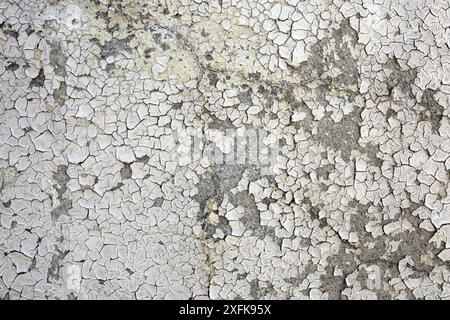 Toile de fond obsolète d'un mur de ciment avec le soleil brûlé pendant que la peinture, peler la texture de stuc, Banque D'Images