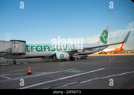 Marseille, France. 02 juillet 2024. Un avion Transavia sur la piste de l'aéroport Marseille Provence de Marignane, France, le 2 juillet 2024. Photo de Laurent Coust/ABACAPRESS. COM Credit : Abaca Press/Alamy Live News Banque D'Images