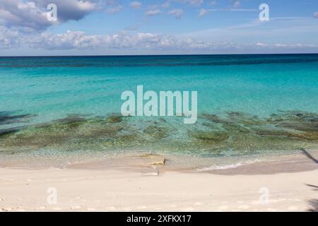 Mer calme et beach, South Bimini, Bahamas. Le Bahamas National Sanctuaire de requins, à l'ouest de l'océan Atlantique. Banque D'Images