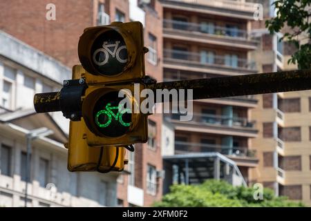 Un feu de circulation avec un symbole de vélo vert dessus. Le feu de circulation est sur un poteau devant un bâtiment Banque D'Images
