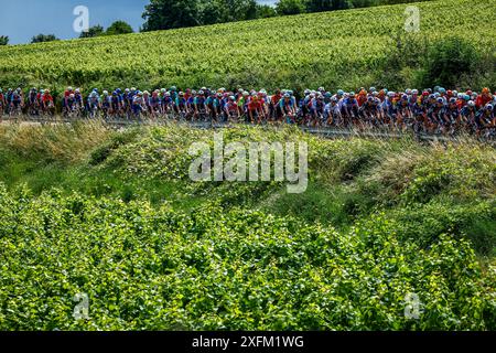 Dijon, France. 04 juillet 2024. Le peloton de coureurs en action lors de l'étape 6 du Tour de France 2024, de Macon à Dijon, France (163, 5 km) le jeudi 04 juillet 2024. La 111ème édition du Tour de France débute le samedi 29 juin et se termine à Nice le 21 juillet. BELGA PHOTO DAVID PINTENS crédit : Belga News Agency/Alamy Live News Banque D'Images