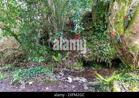 Image colorée montrant Covety Spring, Un sacré puits de guérison sur Great Torrington Commons avec des rubans de prière. Banque D'Images