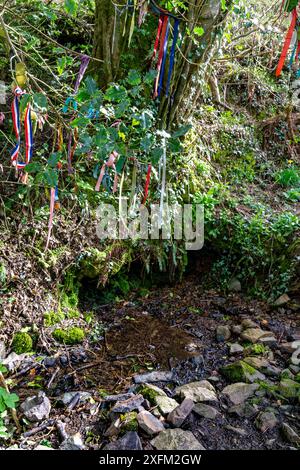 Image colorée montrant des rubans de prière au-dessus de Covety Spring, Un puits sacré de guérison sur Great Torrington Commons. Banque D'Images