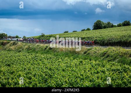 Dijon, France. 04 juillet 2024. Le peloton de coureurs en action lors de l'étape 6 du Tour de France 2024, de Macon à Dijon, France (163, 5 km) le jeudi 04 juillet 2024. La 111ème édition du Tour de France débute le samedi 29 juin et se termine à Nice le 21 juillet. BELGA PHOTO DAVID PINTENS crédit : Belga News Agency/Alamy Live News Banque D'Images