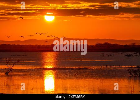 Coucher de soleil sur le canal Sungwe dans le parc national de Gorongosa, Mozambique. Banque D'Images