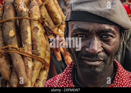 Homme vendant du mandioca, ou racine de manioc, sur le bord de la route près de Nampula, Mozambique. Juin 2011 Banque D'Images