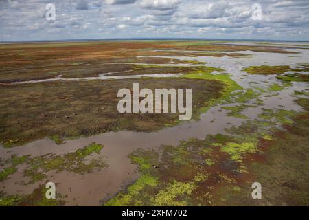 Vue aérienne de la bordure du lac Urema, Gorongosa National Park, au Mozambique. Juin 2016 Banque D'Images