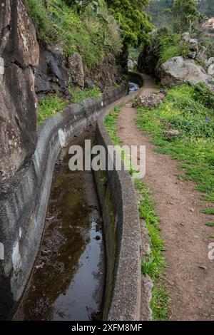 Ruisseau longeant le sentier Levada do Norte, Madère. Février 2017. Banque D'Images