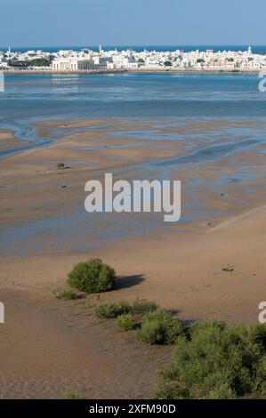 Sur, une ville à la côte d'Oman, avec des bancs de sable et des vasières tidales, Sultanat d'Oman, février. Banque D'Images