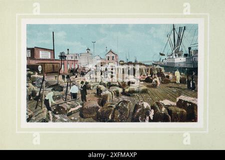 Photo vintage de la Nouvelle-Orléans. Cotton Landing Levee. USA, La. 1990s Banque D'Images