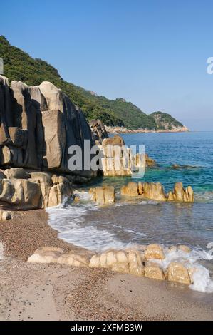 Affleurement rocheux granitique lavé par les vagues, avec forêt méditerranéenne et maquis poussant sur le promontoire au-delà, dans un site du patrimoine mondial naturel de l'UNESCO et Parc National de Corse (Parc naturel régional de Corse), Golfe de Porto, Corse, France, mai 2010. Banque D'Images