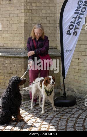 Brentwood Essex 4 juillet 2024 chiens dans un bureau de vote Brentwood Essex crédit : Ian Davidson/Alamy Live News Banque D'Images