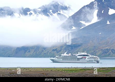 Navire de croisière de l'expédition le Lyrial naviguant dans la baie de Fortuna, en Géorgie du Sud. Décembre 2015. Banque D'Images