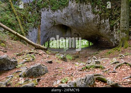 Pont karstique, arc calcaire naturel de la période Crétacé avec pliage Cainozoïque situé dans la forêt de hêtres primitive, réserve de biosphère des Carpates, site du patrimoine mondial de l'UNESCO, oblast de Zakarpattia, Ukraine. Banque D'Images