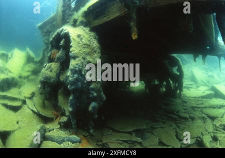 Chariot de mine dans une carrière d'ardoise inondée sur l'île de Belnahua. Écosse. 1996 Banque D'Images