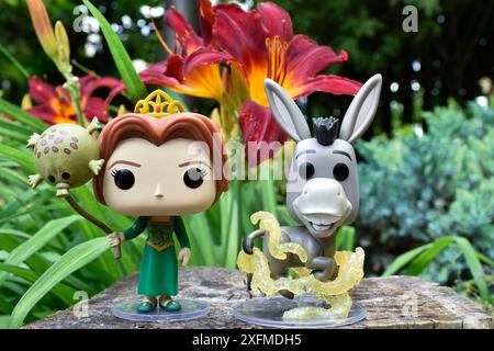 Funko Pop figurines d'action de la princesse Fiona et l'âne du film d'animation populaire Shrek. Forêt de fées, souche d'arbre, fleurs d'orange, personnages fabuleux. Banque D'Images