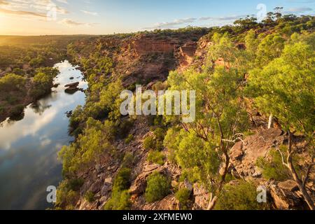 Hawk's Head Lookout sur la Murchison River Gorge, le Parc National de Kalbarri, dans l'ouest de l'Australie, décembre 2015. Banque D'Images