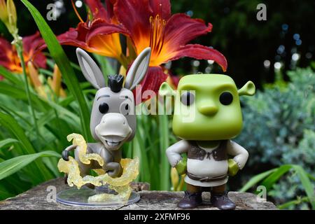 Funko Pop figurines d'action de l'âne et ogre Shrek du film d'animation populaire. Forêt de fées, souche d'arbre, fleurs d'orange, personnages fabuleux, amis. Banque D'Images