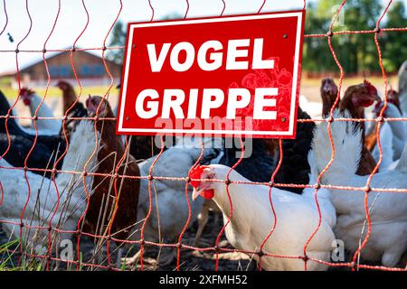 Allemagne - 2 juillet 2024 : mise en garde contre le virus de la grippe aviaire H5N1 sur un panneau devant une grange pleine de poulets. Protection contre la propagation et la quarantaine Banque D'Images