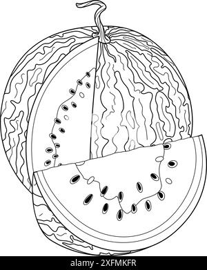 Pastèque mûre coupée et tranche coupée à partir de la ligne de pastèque Dessiné à la main style doodle à la mode isolé page de coloration fruit coupé dessert naturel biologique, fruits d'été doux et sains. Illustration vectorielle Illustration de Vecteur