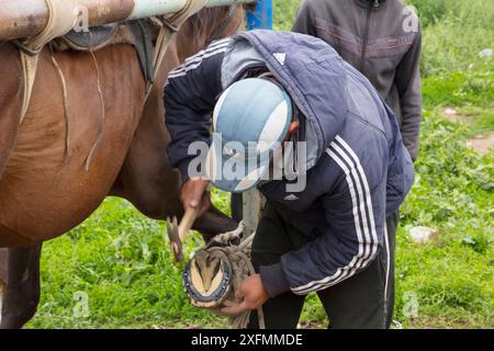 Homme fermant un cheval au marché aux animaux de Karakol. Kirghizistan, juillet 2016. Banque D'Images