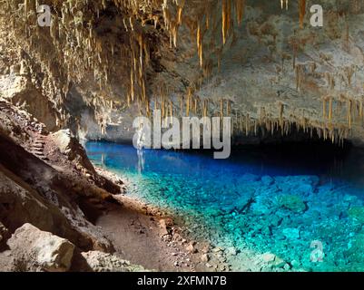 Stalactites et Blue Water à Gruta do Lago Azul. Mato Grosso do Sul, Brésil. Banque D'Images