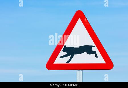 Lynx ibérique (Lynx pardinus) panneau d'avertissement, Badajoz, Estrémadure, Espagne, février 2016. Banque D'Images