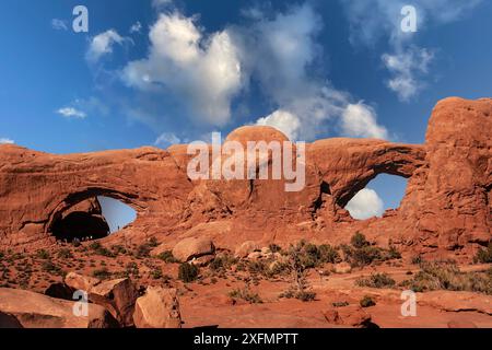 Sud, à gauche, et North Windows, Arches National Park, Moab, Utah Banque D'Images