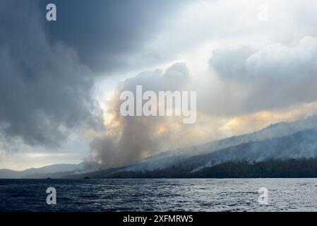 Fire inside the Tangkoko National Park. The fire lasted two weeks, until it was extinguished by a storm from the sea. Sulawesi, Indonesia, October 201 Stock Photo