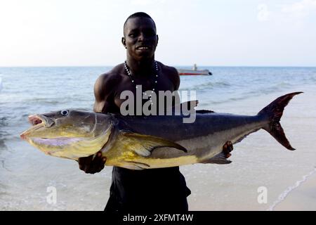 Homme tenant de gros poissons pêchés dans l'océan Atlantique, île d'Orango, parc national des îles d'Orango, réserve de biosphère de l'UNESCO de Bijagos, Guinée Bissau, février 2015. Banque D'Images