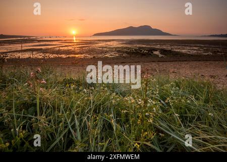 Lever du soleil sur la baie et le Lamlash zone interdite, de l'Arran de zone de protection marine, Isle of Arran, Ecosse, Royaume-Uni, août. Banque D'Images