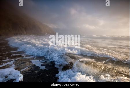 Brume marine le long de la côte, Porth Ceiriad, Pwllheli, Gwynedd, pays de Galles, Royaume-Uni, décembre 2016. Banque D'Images