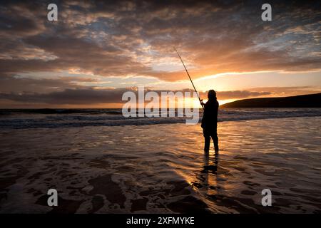 Pêcheur à la ligne au crépuscule dans le surf de mer. L'achigan (Dicentrarchus labrax) est souvent attrapé alors qu'il chasse à la nourriture barbée par les vagues, Porth Ceiriad, Pwllheli, Gwynedd, pays de Galles, Royaume-Uni, décembre 2016. Banque D'Images