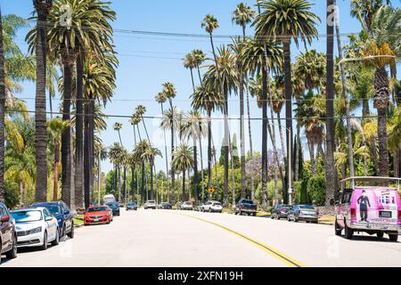 Beverly Hills, CA - 29 juin 2024 : scène de rue le long de Beverly Hills Californie avec des palmiers. Banque D'Images
