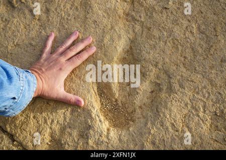 Comparaison entre une main humaine et une trace fossile ou ichnite, empreinte de tridactyle fossilisée sur la roche Banque D'Images