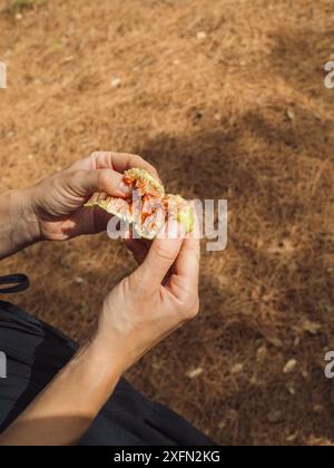 Mains de femme ouvrant une figue mûre montrant sa chair juteuse rouge. Gros plan vertical. Banque D'Images