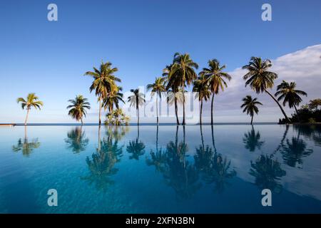 Cocotiers (Cocos nucifera) arbres reflétés dans la piscine de l'hôtel avec mer au-delà, réserve privée d'Anjajavy, nord-ouest de Madagascar, septembre 2016. Banque D'Images