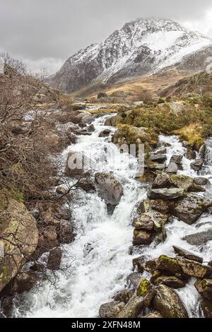 Têtes de l'Afon (rivière) Ogwen à la sortie de Llyn Ogwen avec la montagne Tryfan dans le fond Snowdonia North Wales UK March. Banque D'Images