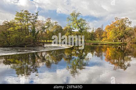 Barrage de Horseshoe Falls et source d'alimentation pour le canal de Llangollen sur la rivière Dee au nord-ouest de Llangollen, Denbighshire, pays de Galles du Nord, Royaume-Uni, novembre. Banque D'Images