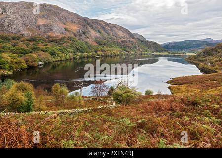 Llyn Dinas avec des pêcheurs dans un bateau, vallée de Nant Gwynant, Beddgelert Snowdonia, pays de Galles du Nord, Royaume-Uni, octobre 2016. Banque D'Images