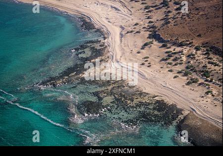 Vue aérienne des stromatolites, accrétions de grains sédimentaires, Hamelin Pool, Shark Bay, site du patrimoine mondial naturel de l'UNESCO, Australie occidentale, Australie. Banque D'Images