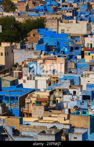 Vue aérienne de la ville bleue, Jodhpur, Rajasthan, Inde. Banque D'Images